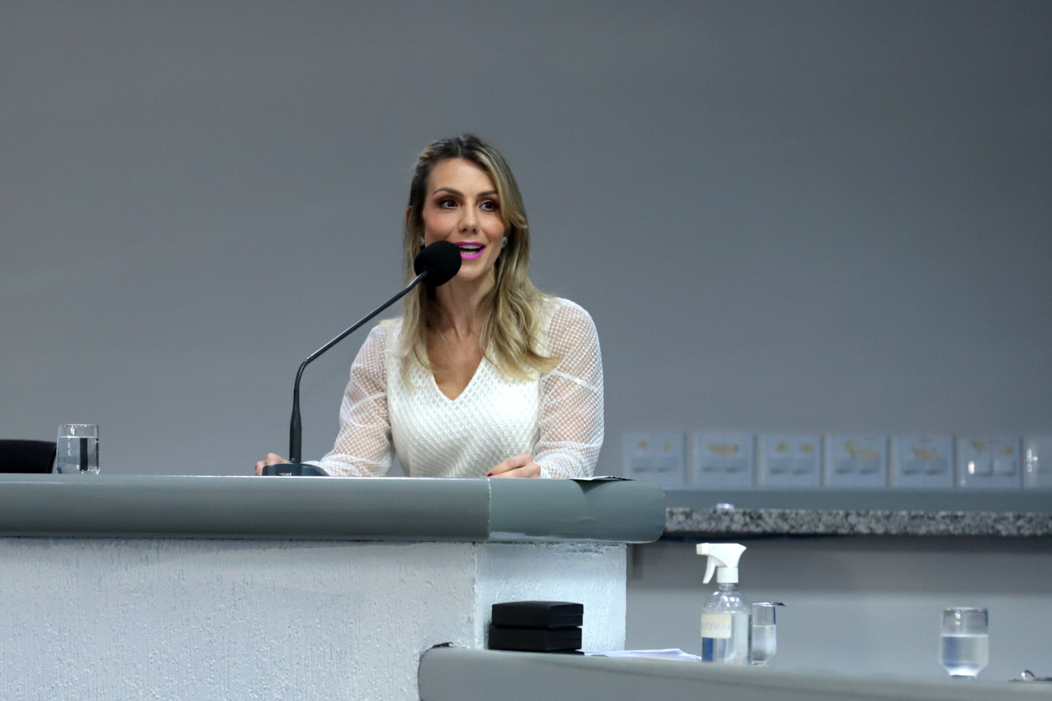 Ana Carolina Ali Garcia, Procuradora Geral do Estado, falou em nome dos homenageados