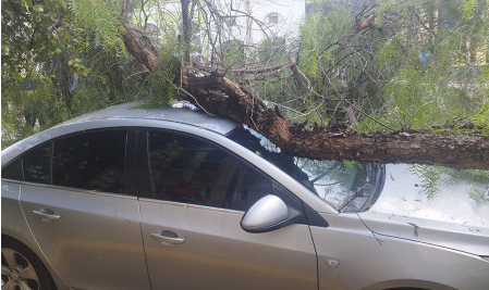 Árvores caíram em via públicas e sobre carros - Foto: Divulgação/Diário Coumbaense