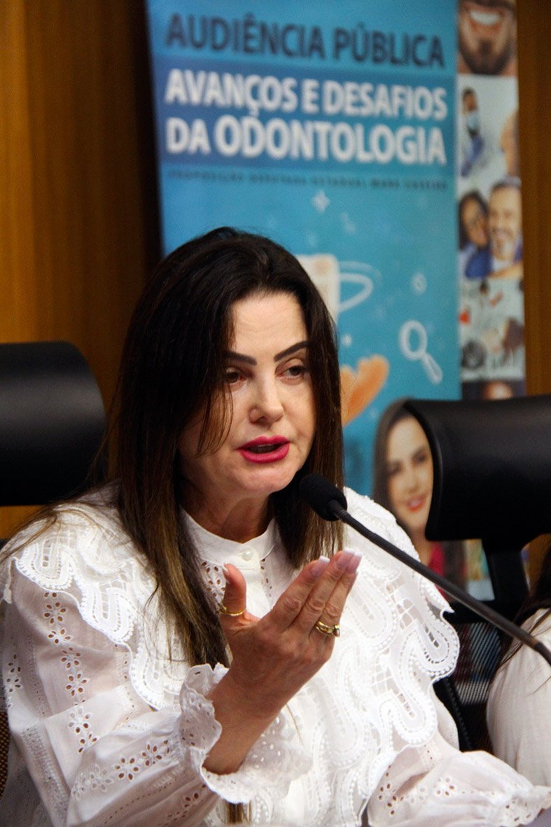 Deputada Mara Caseiro, que também é dentista, presidiu a reunião