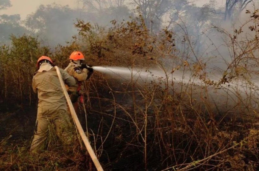 Combate a incêndio no Pantanal de Mato Grosso. 