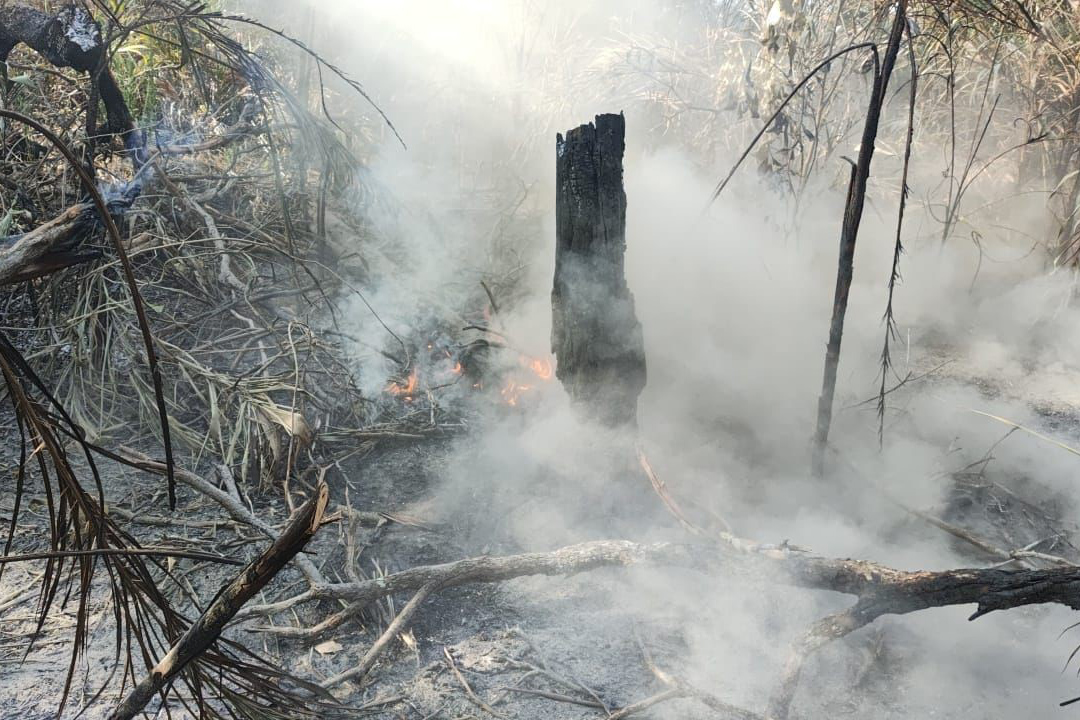 Foco de incêndio no Pantanal  (Foto: CPA / CBMMS)