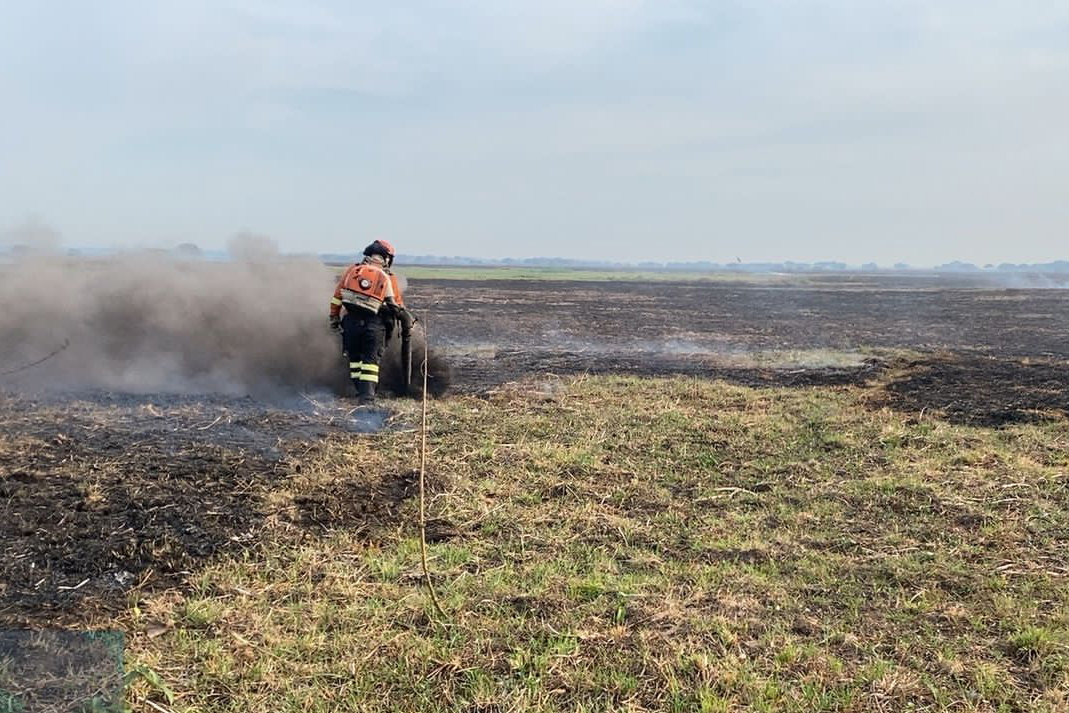 O Corpo de Bombeiros de Mato Grosso do Sul atua de forma constante para controlar e extinguir os incêndios florestais no Pantanal.