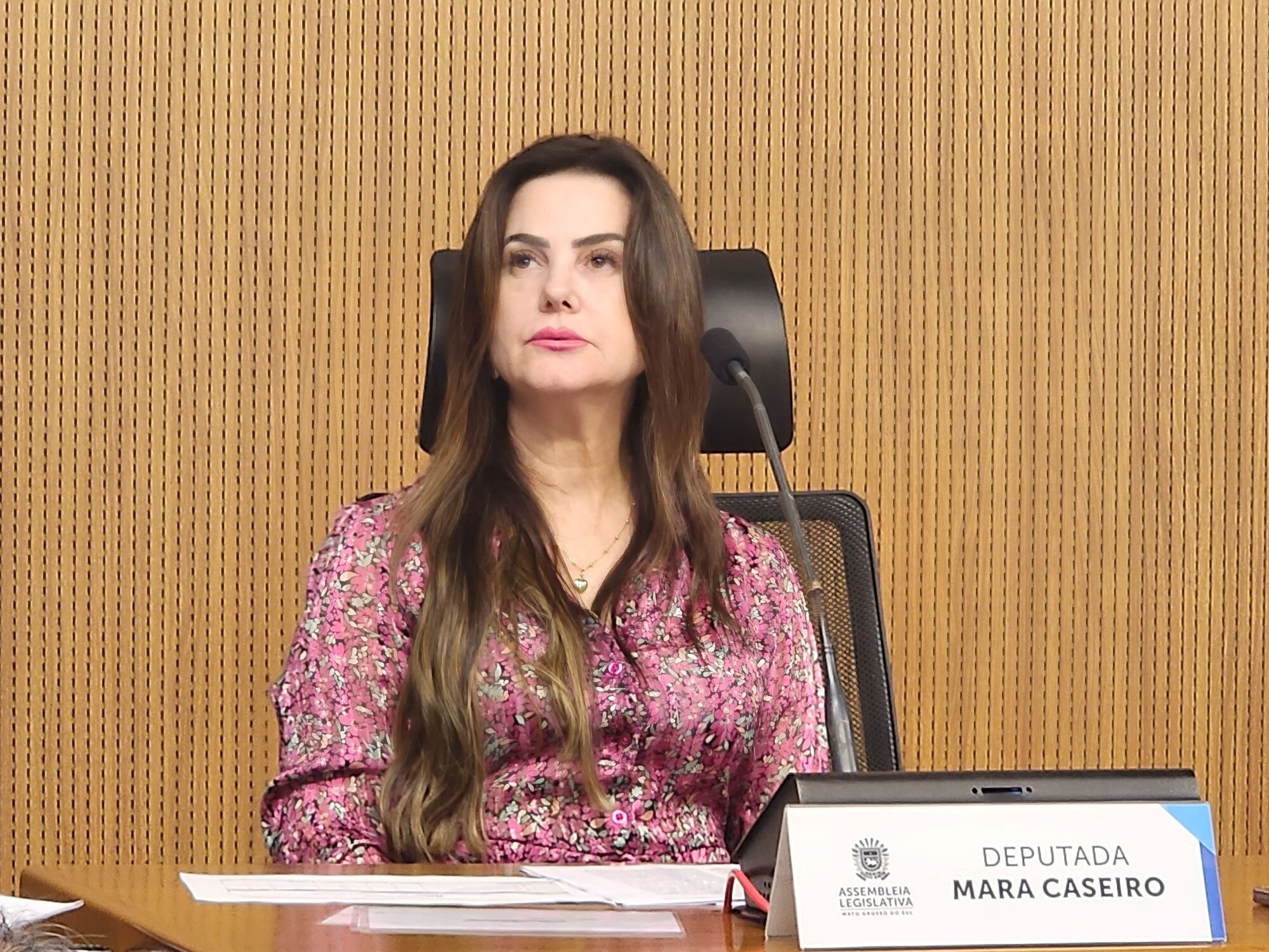 Deputada Mara Caseiro avalisou positivamente o trabalho da CCJR