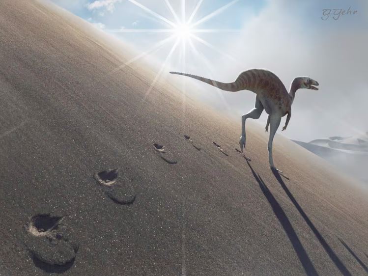 Os dinos carnívoros eram rápidos e se apoiavam principalmente sobre o dedo médio dos pés