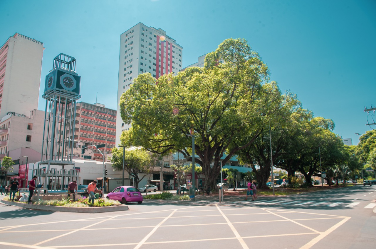 Campo Grande celebra o reconhecimento como uma Tree City of the World pelo 5º ano consecutivo