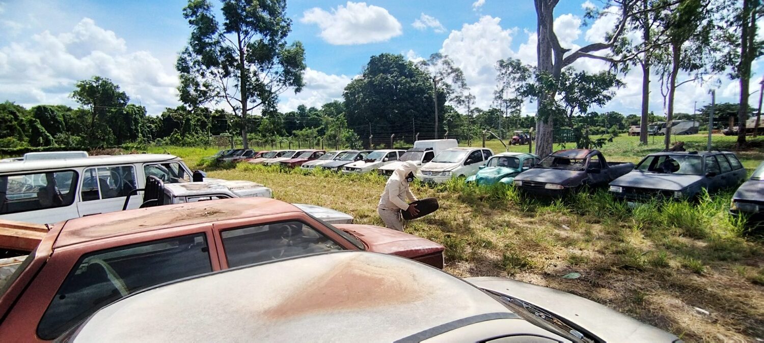 Além das visitas quinzenais do agente de saúde, são disponibilizados sprays inseticidas para os blocos da sede e agências