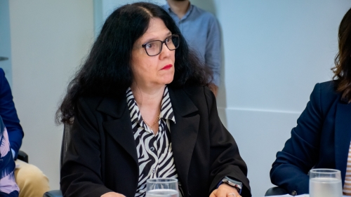 A procuradora de justiça do MPMS, Vera Vieira