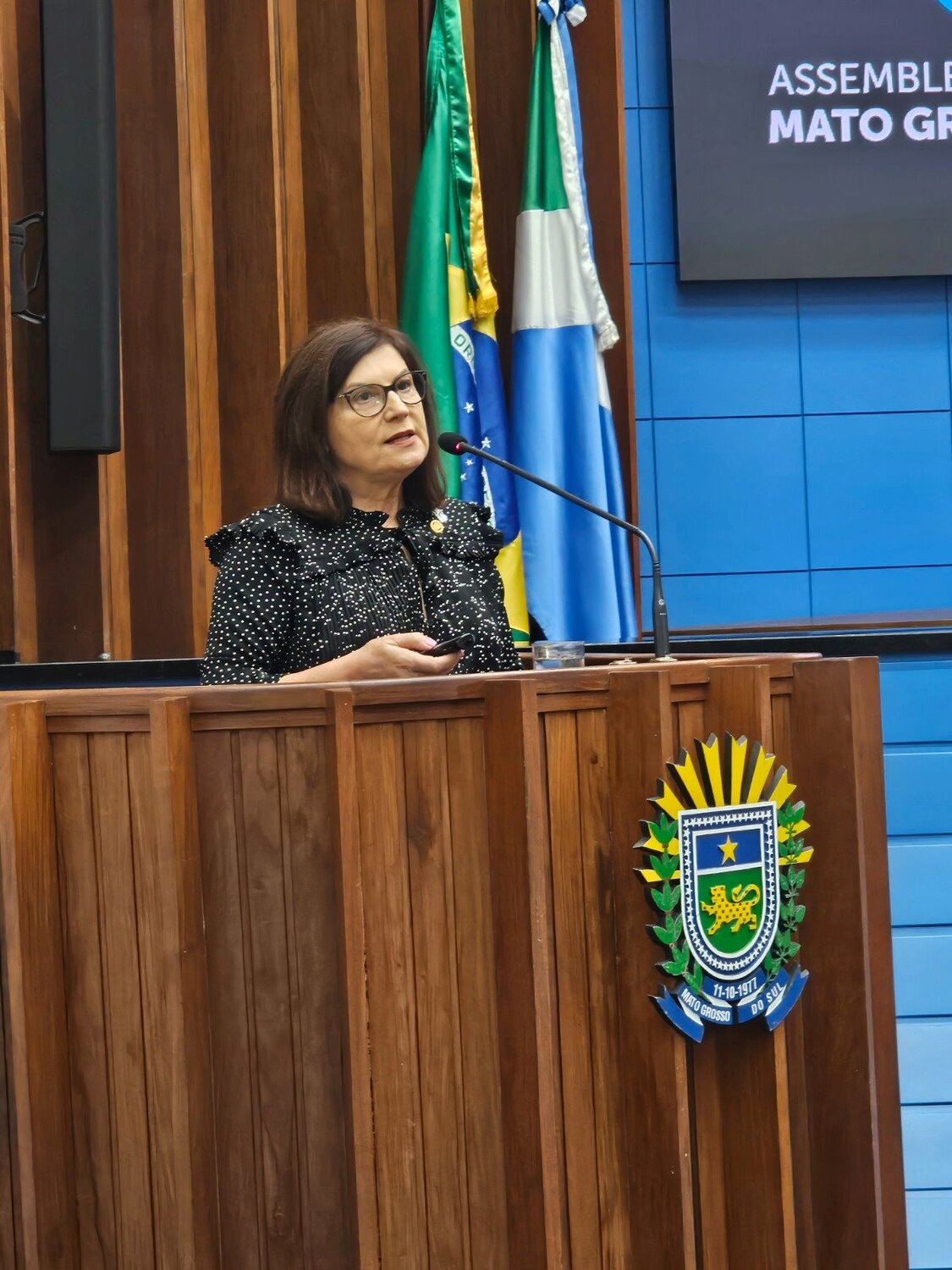 Ana Luzia Abrão avaliou os cinco anos de seminário