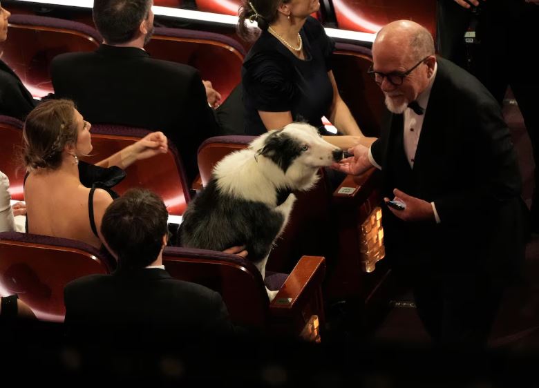 O cachorro Messi, do filme 'Anatomia de uma queda', aparece na plateia durante a cerimônia do Oscar