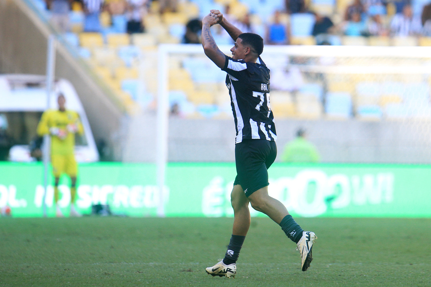 Raí anotou o segundo gol do Botafogo na partida