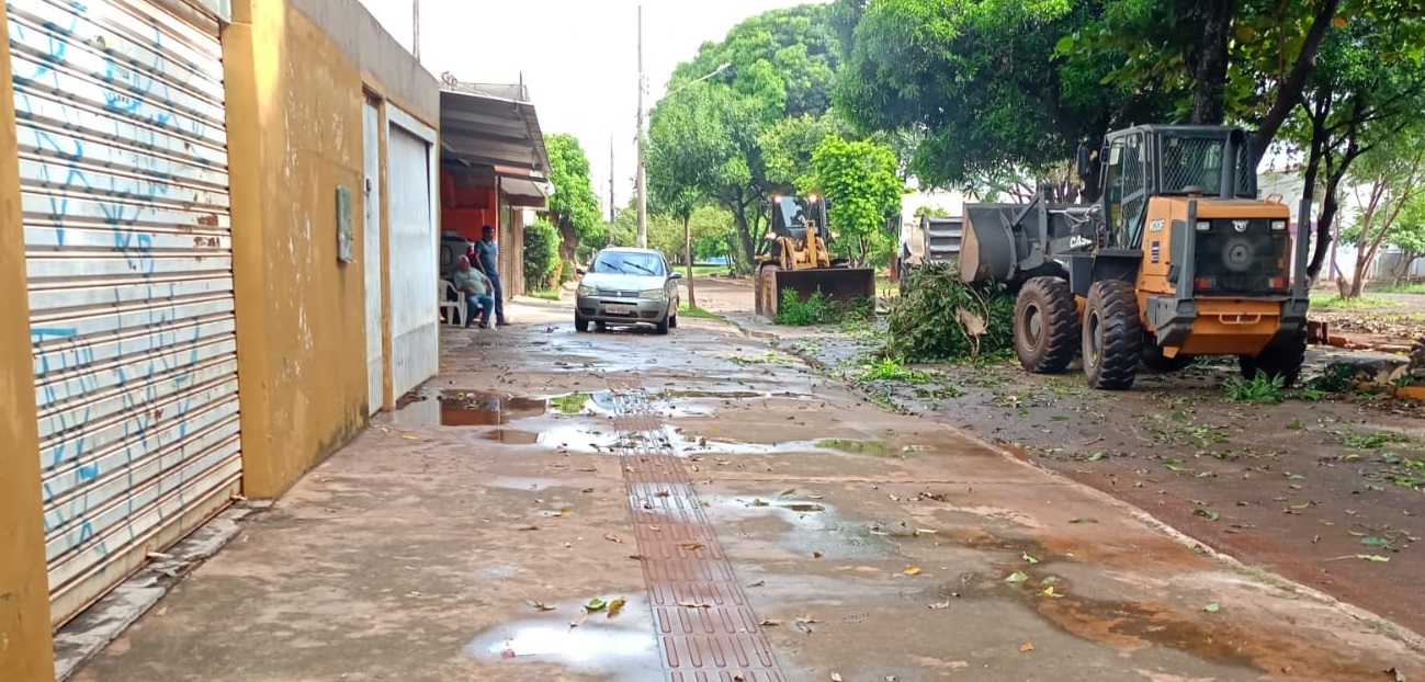 Máquinas retirando galhos caídos de rua.