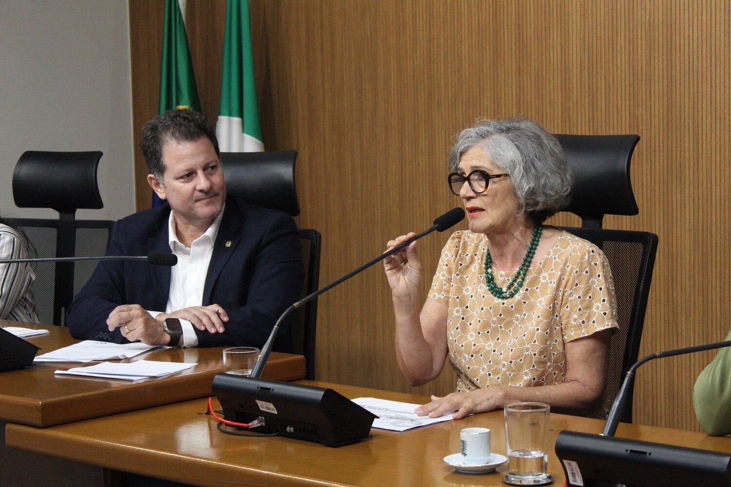 Zirleide Barbosa apresentou as ações do calendário do Junho Prata
