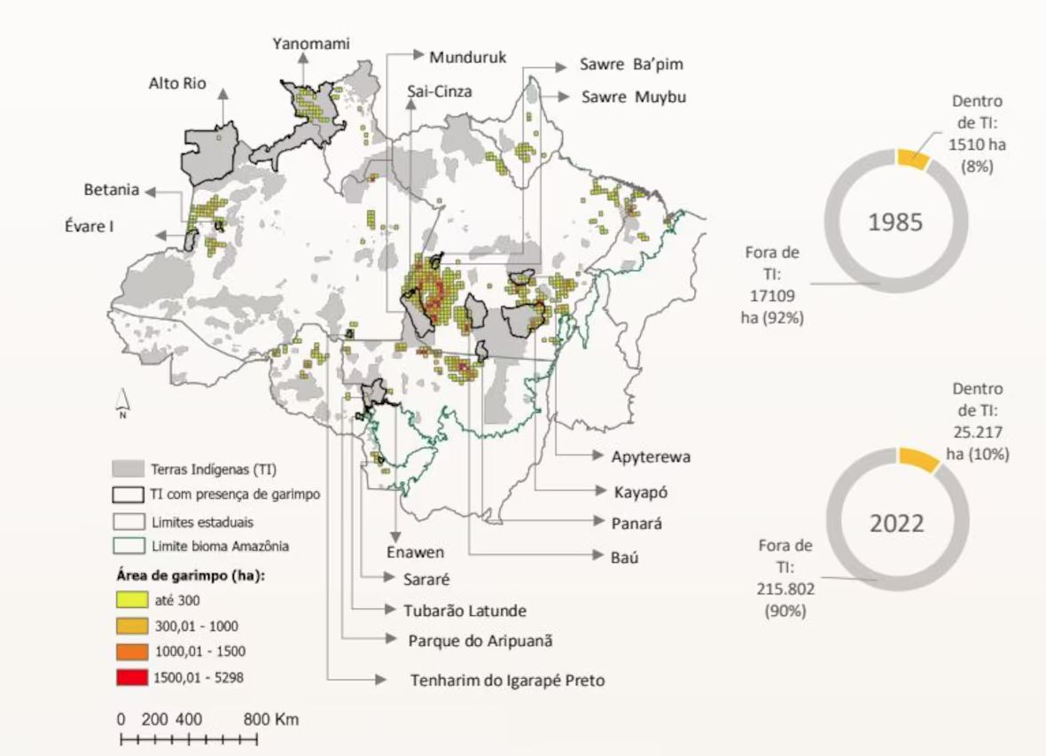 Concentração da área ocupada por garimpos na Amazônia brasileira em 2021, incluindo todas as terras indígenas em cinza e as terras indígenas com ocorrência de garimpo em seu interior com os limites em preto Foto: IPAM
