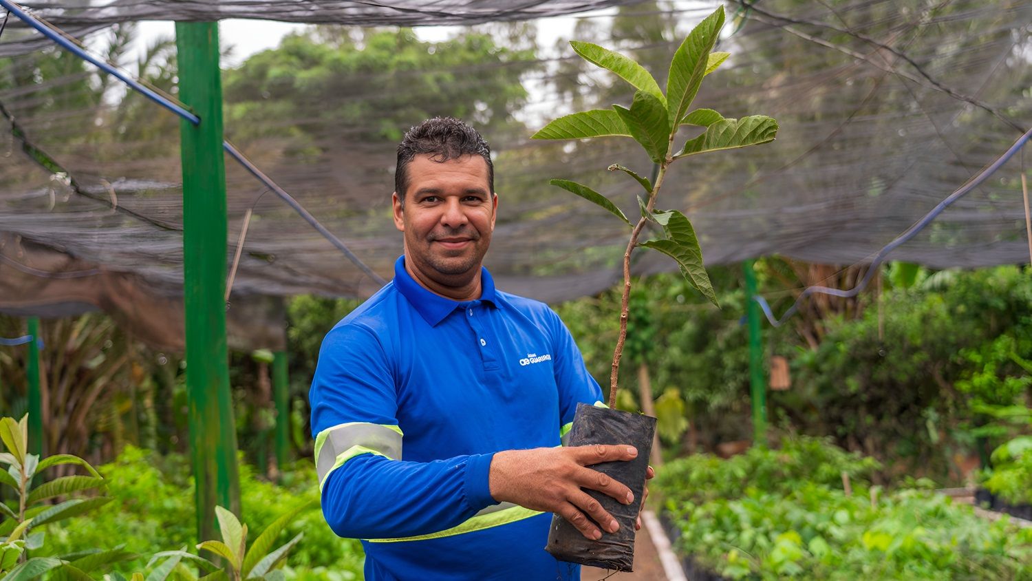 Em parceria com produtores rurais, a Águas Guariroba também doa mudas para o replantio em áreas degradadas, garantindo o fluxo contínuo de água.