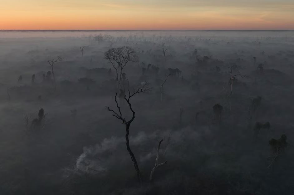 Vegetação do Pantanal tomada pelo fogo em Corumbá, MS, 11 de junho de 2024