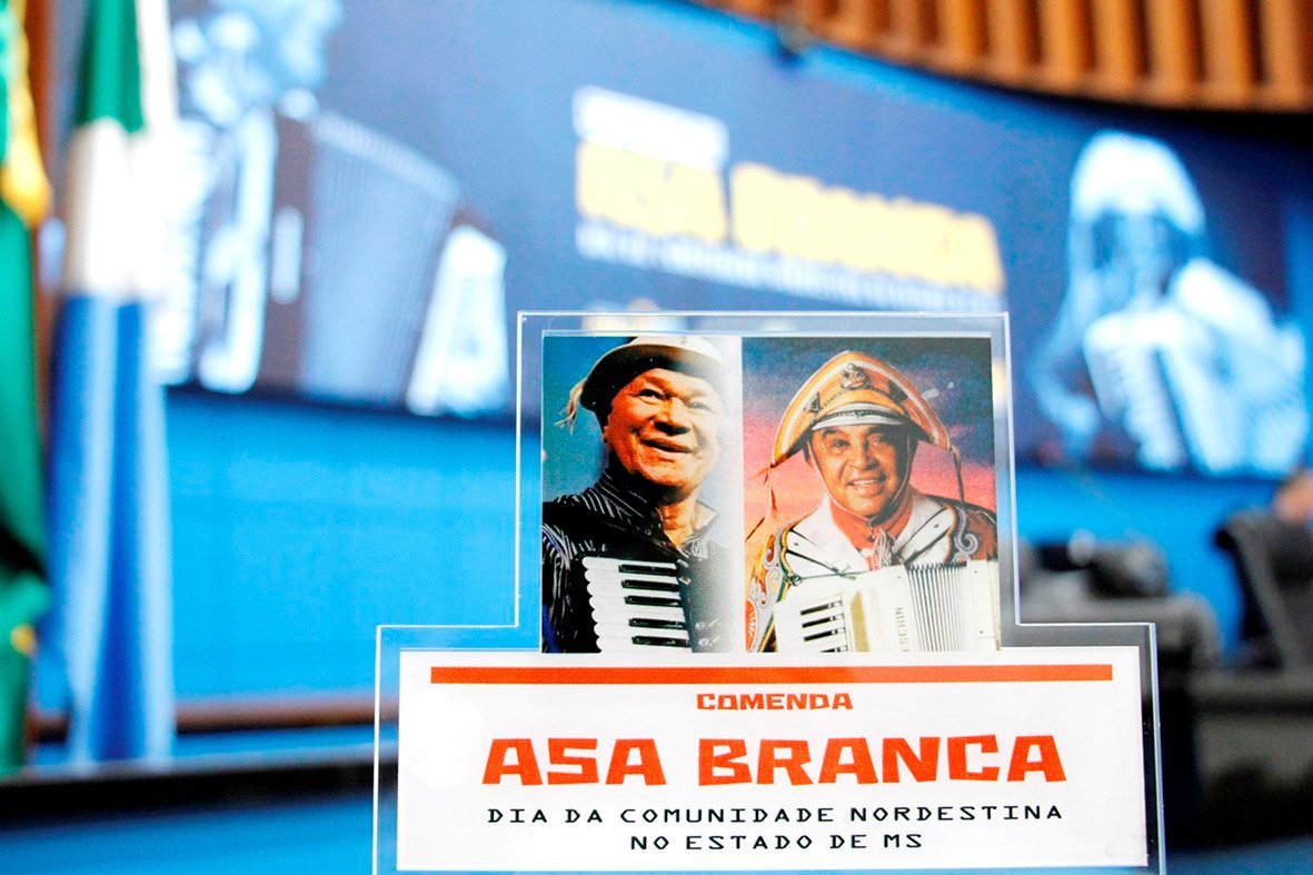 Homenagem foi instituída em 2017