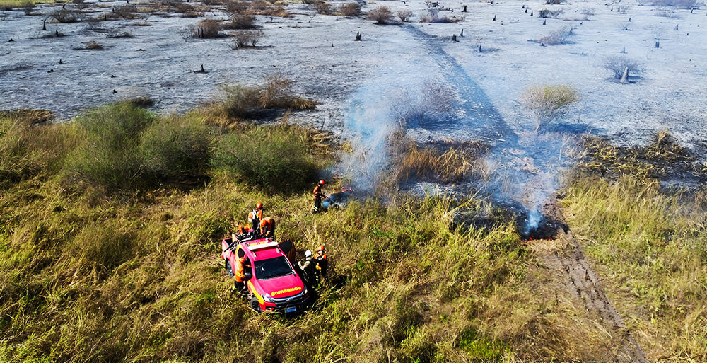 Trabalho terrestre dos bombeiros no combate as chamas no Pantanal 