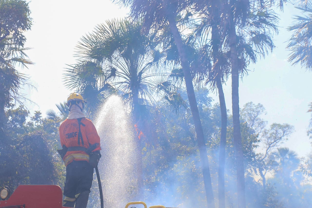 Bombeiros seguem trabalhando intensamente para conter as chamas