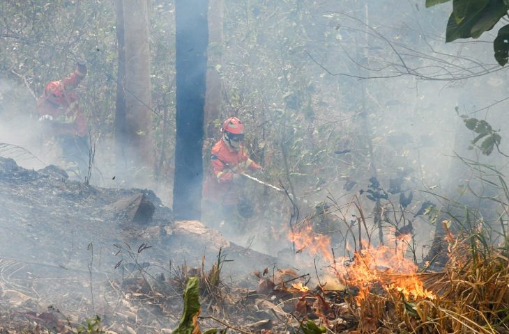 Com oito focos ativos de incêndios florestais no Pantanal, em Mato Grosso do Sul, o Corpo de Bombeiros continua a atuar no trabalho de rescaldo e monitoramento