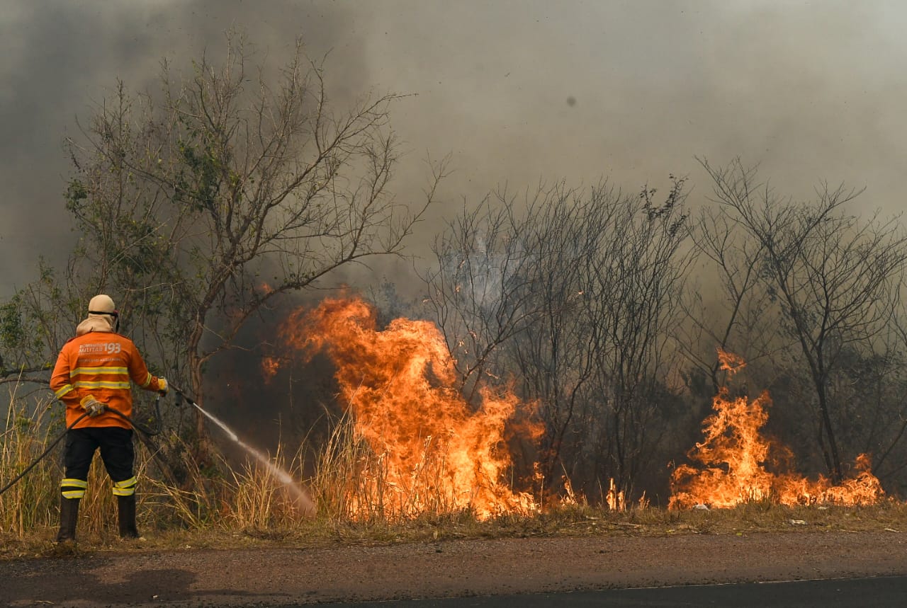 Fogo e fumaça se intensificam no Pantanal e combate aos incêndios em MS continua a ter reforços