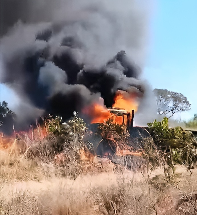 A Fazenda Caiman foi atingida por um incêndio originado de um caminhão a quilômetros de distância, expondo desafios na conservação do Pantanal.