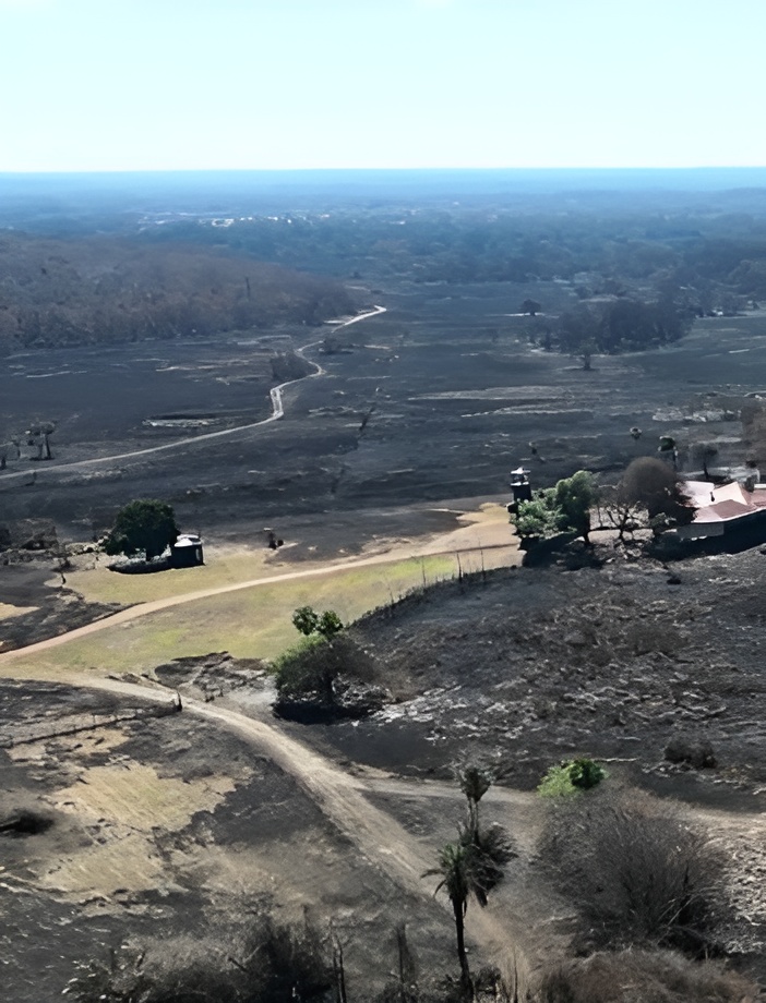 Vista aérea da Fazenda Caiman após os incêndios, com vastas áreas de solo queimado, evidenciando o impacto das queimadas no Pantanal.