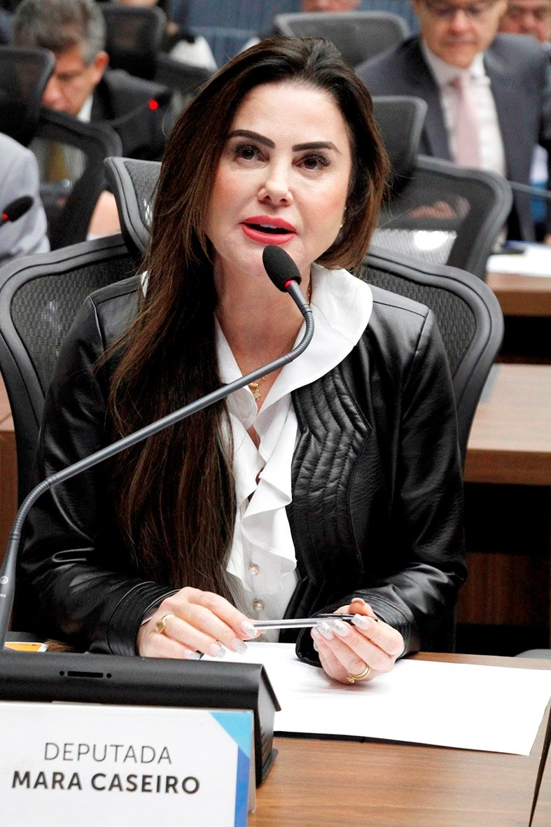 Mara Caseiro é autora da lei que criou a campanha (Foto: Luciana Nassar)