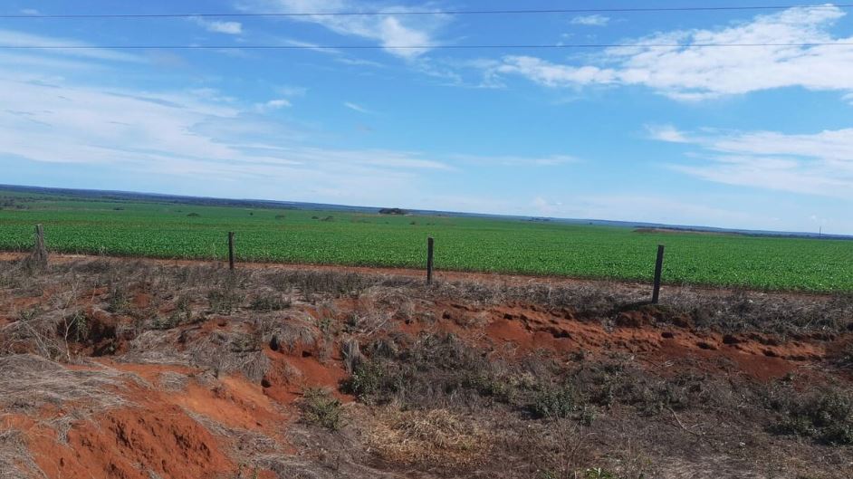 Fazenda Paraíso: propriedade fica em Luciara