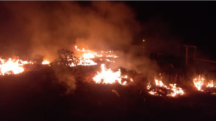 Incêndio atinge Chapada dos Veadeiros e outras partes do Estado de Goiás