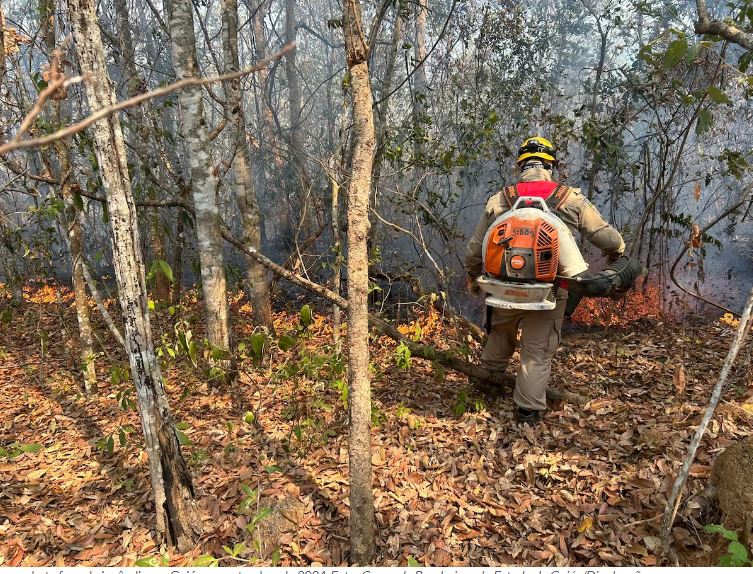 Bombeiro combate foco de incêndio em Goiás, em setembro de 2024