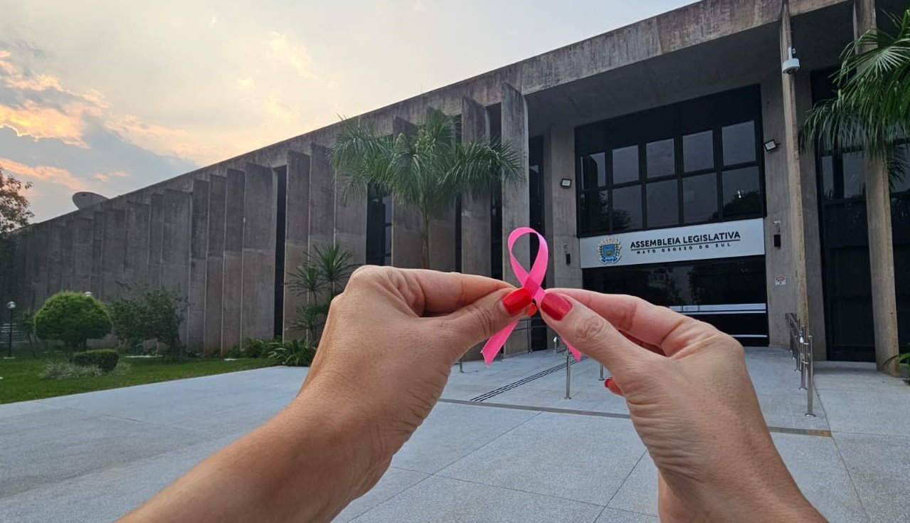  O laço cor-de-rosa representa mundialmente a luta contra o câncer de mama  Foto: Aline Kraemer