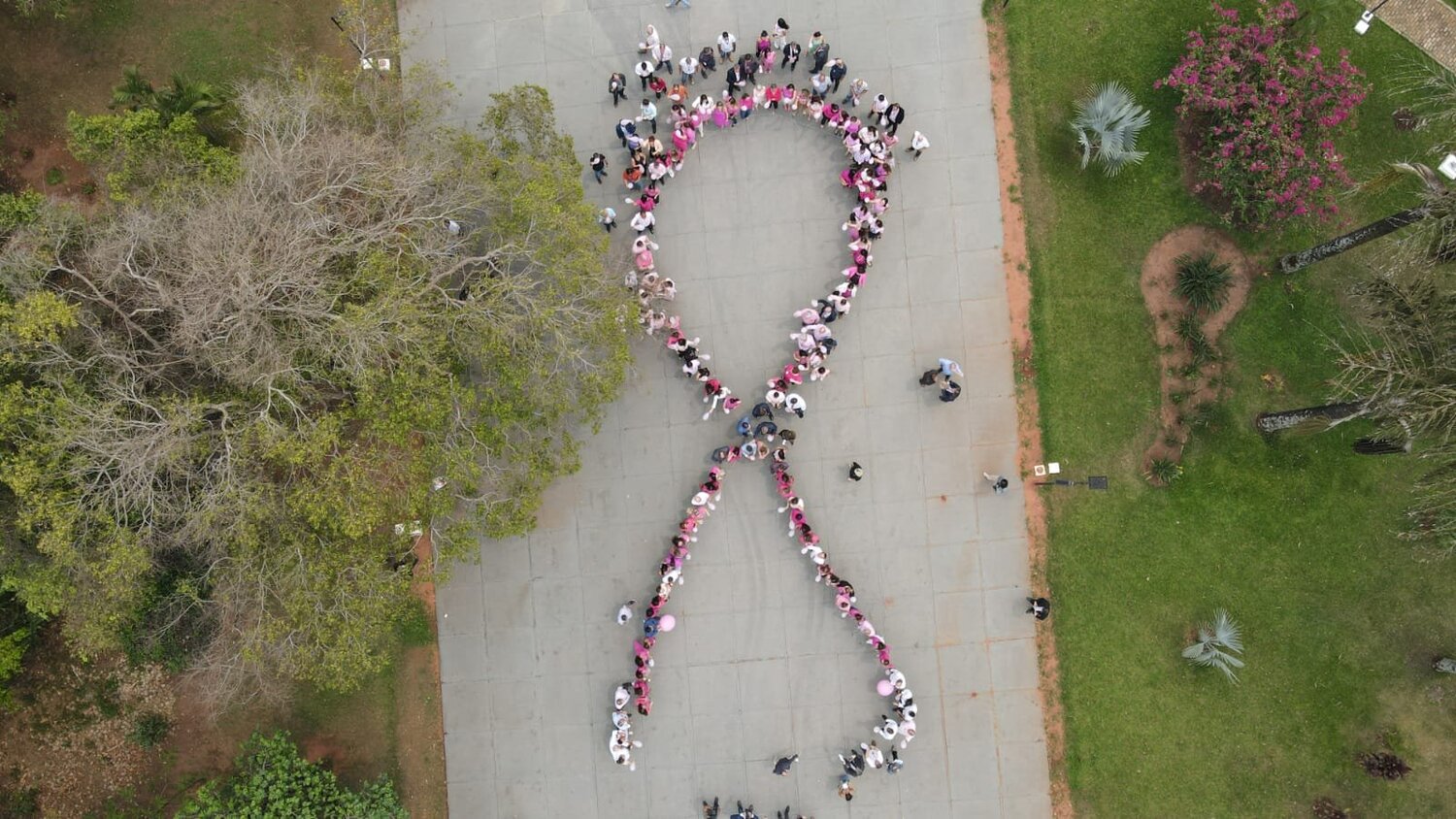Foto aérea do laço símbolo da Campanha: Osmar Chagas / TV ALEMS