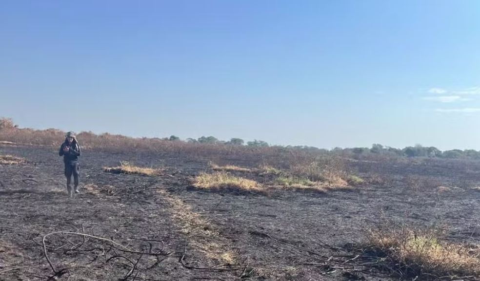 Investigação da Polícia Federal em área atingida por incêndios em Corumbá (MS) (Foto: Divulgação)