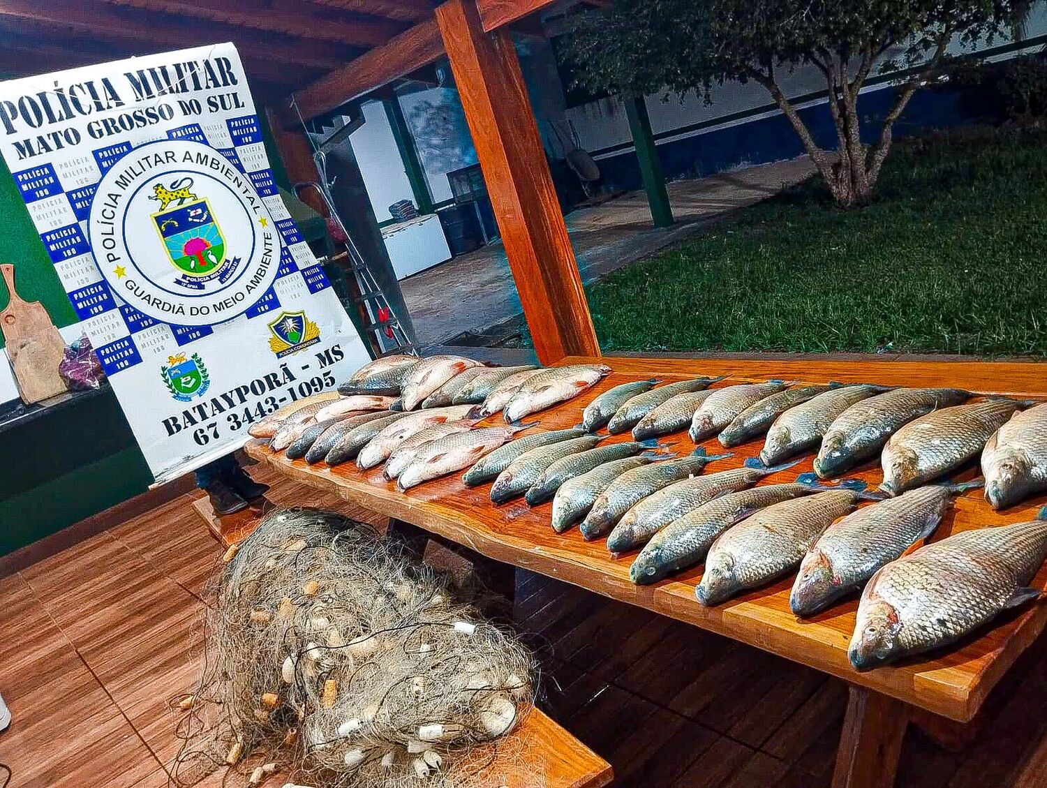 Equipamentos de pesca ilegal e peixes apreendidos pela Polícia Militar Ambiental em operação contra a pesca predatória no rio Ivinhema