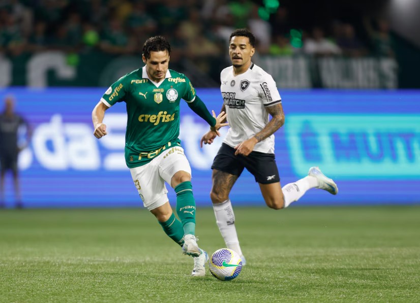 Palmeiras foi derrotado em casa para o Botafogo com futebol apático 
