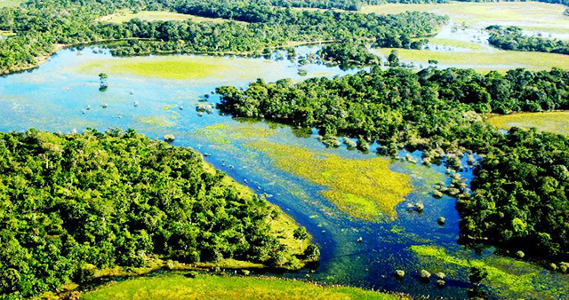 Vista área do Pantanal 