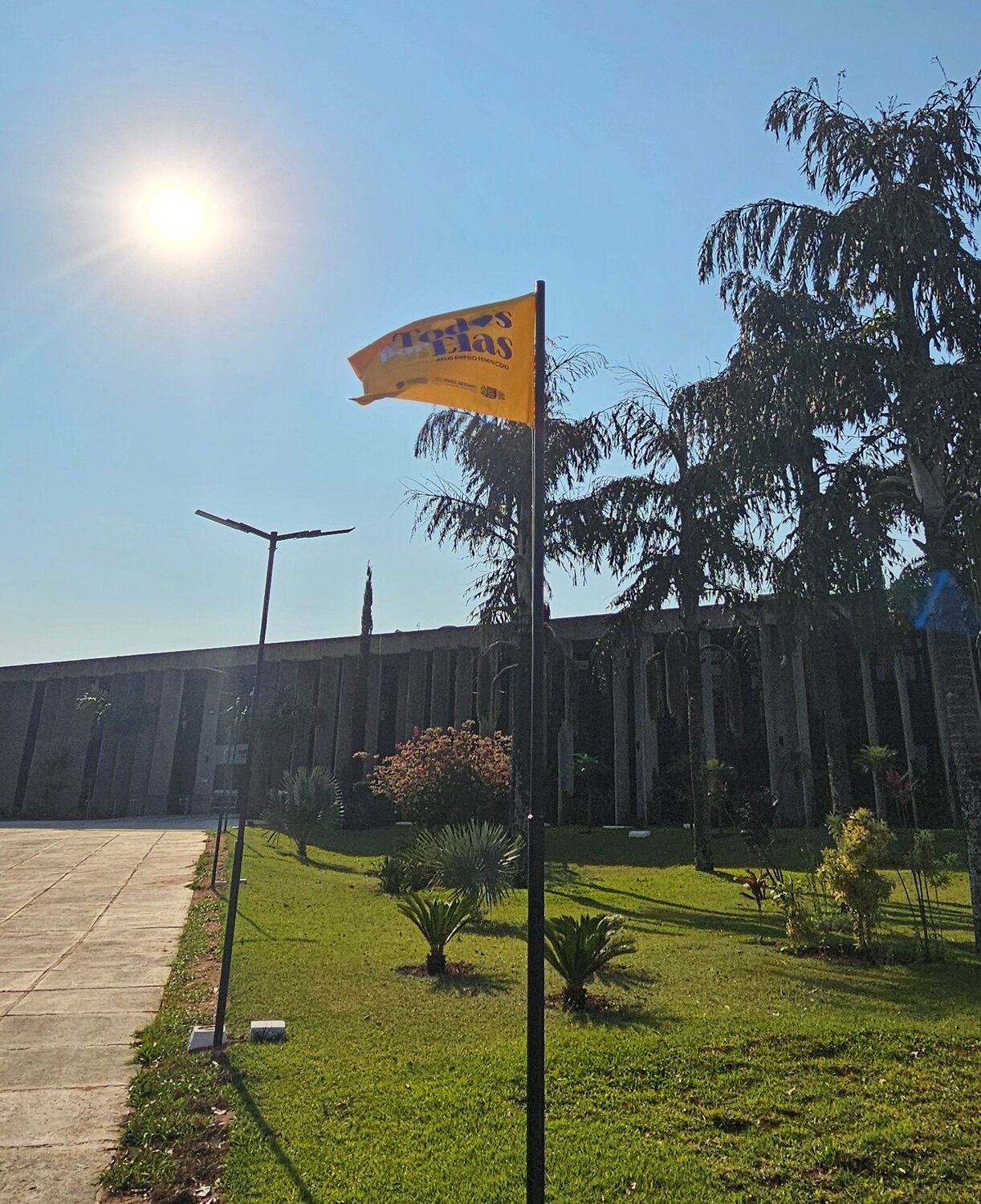 ALEMS participa da luta pela erradicação do feminicídio