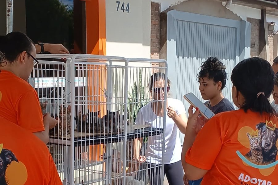 Voluntários auxiliam no processo de adoção de animais resgatados, proporcionando a eles um lar e melhores condições de vida
