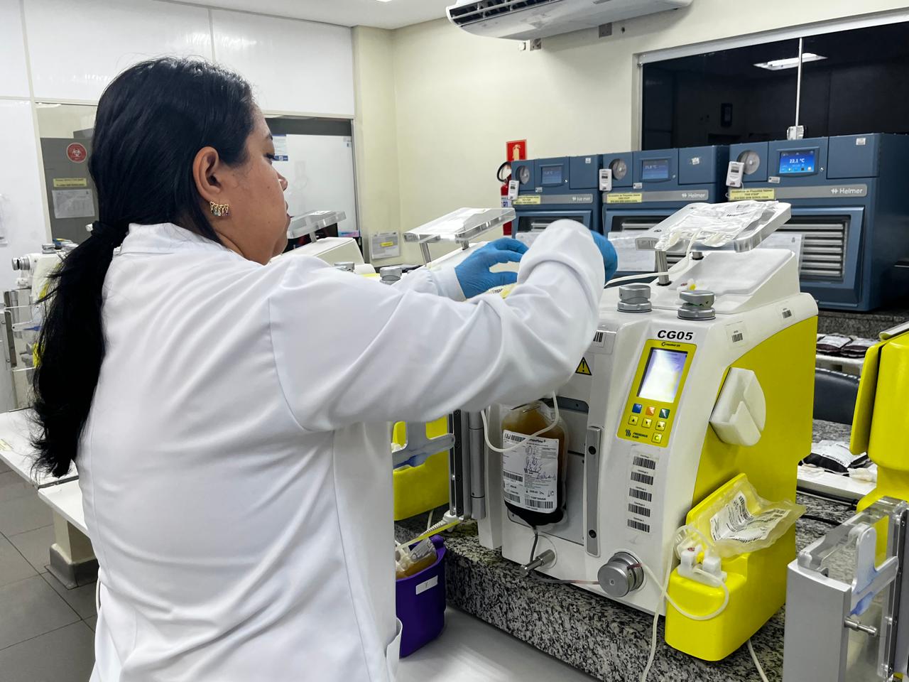 O material passa por exames laboratoriais e é fracionado em componentes como hemácias, plaquetas e plasma