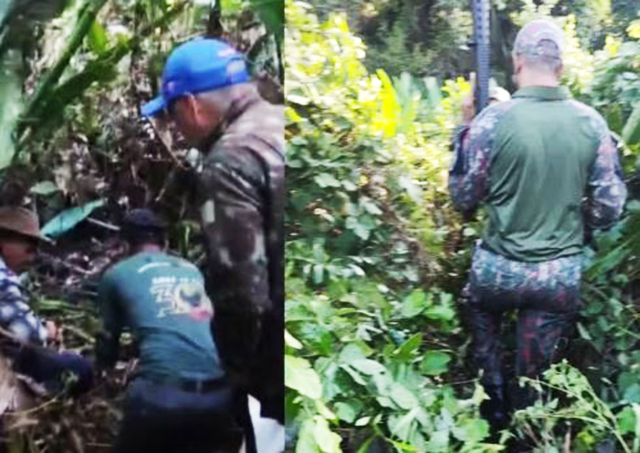 Polícia Ambiental precisou conter onça-pintada a tiros para resgatar corpo de caseiro atacado no Pantanal