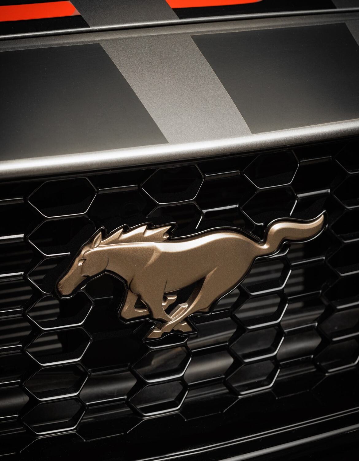 As séries especiais são uma parte importante da história do Mustang, com modelos que marcaram época e ajudaram a criar a mística em torno do ícone