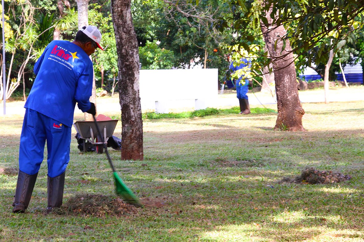 Grama podada dos jardins da ALEMS também é usada na compostagem (Foto: Wagner Guimarães) 
