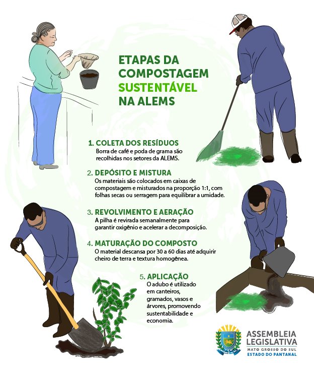 Arte: Luciana Kawassaki