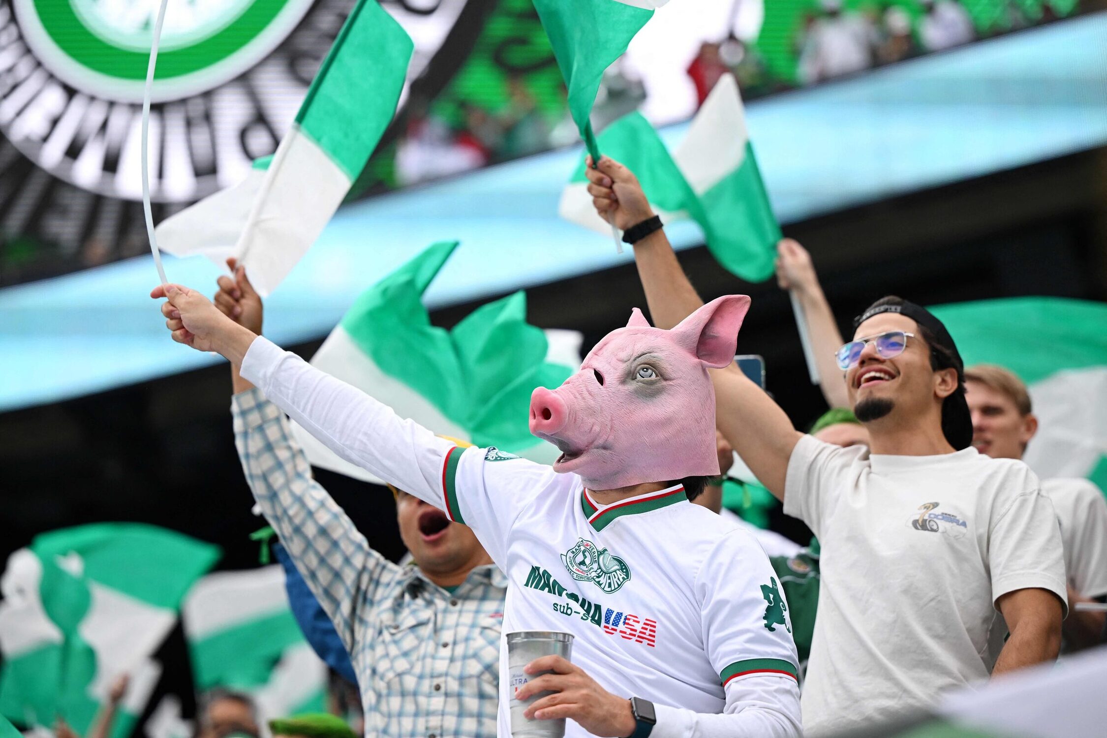 Palmeirenses foram maioria no Metlife Stadium, em East Rutherford