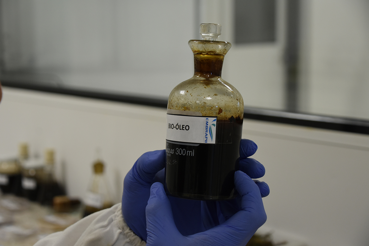 O bio-óleo, obtido pela pirólise de plantas aquáticas, é o ponto de partida para o diesel verde criado pelo Senai-MS.