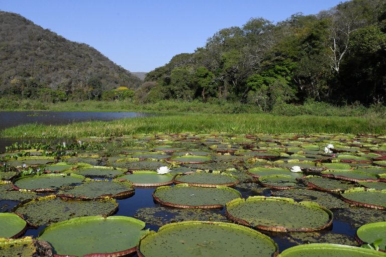 Serra do Amolar (Foto: Bruno Rezende)