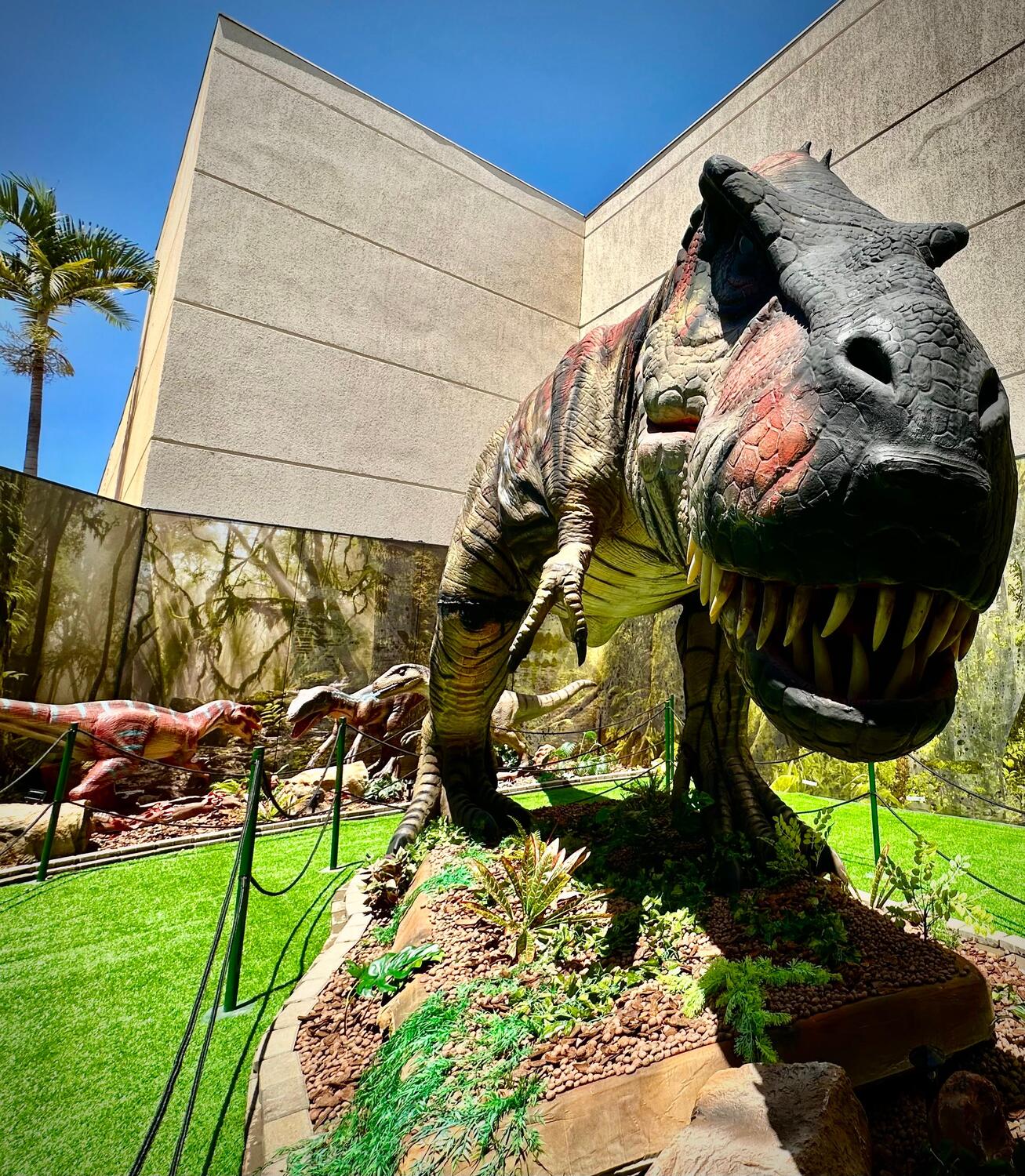 T-Rex Tour