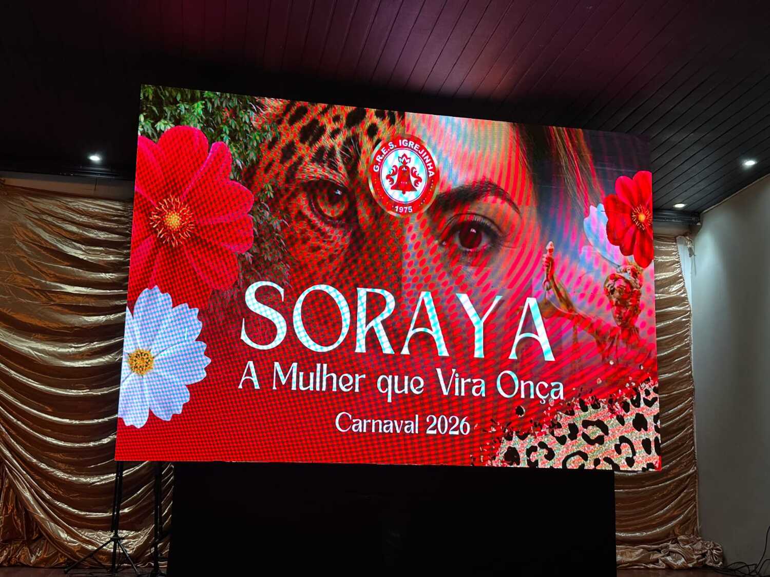 Senadora Soraya vira enredo no Carnaval 2026