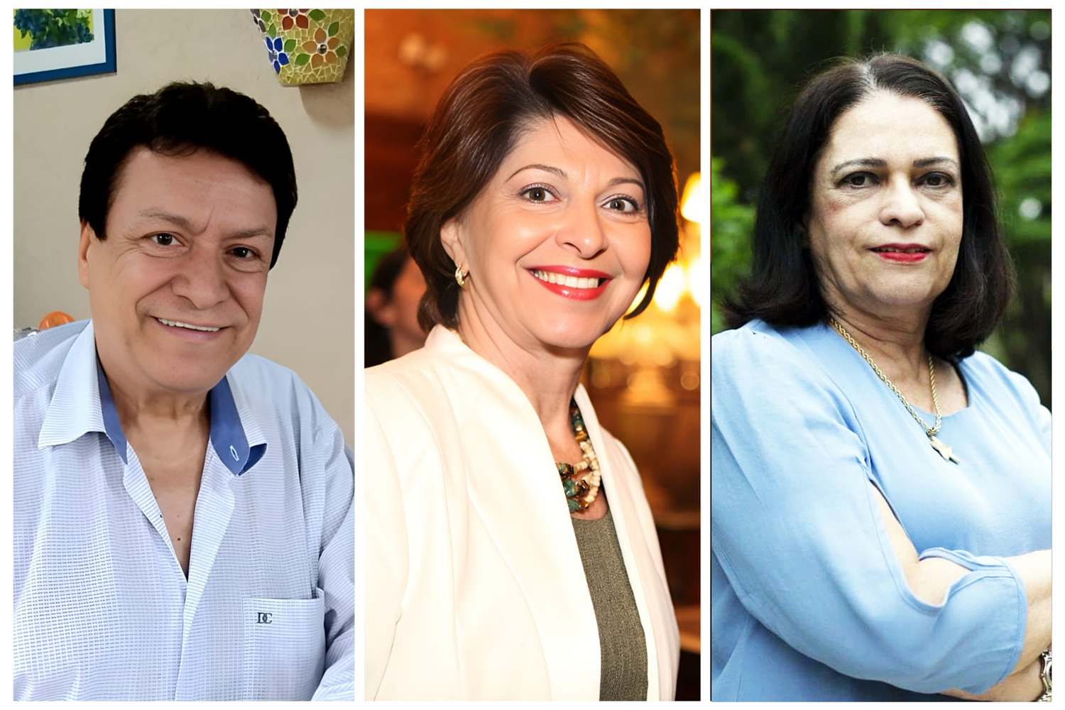 Acadêmicos Américo Calheiros, Marisa Serrano e Raquel Naveira