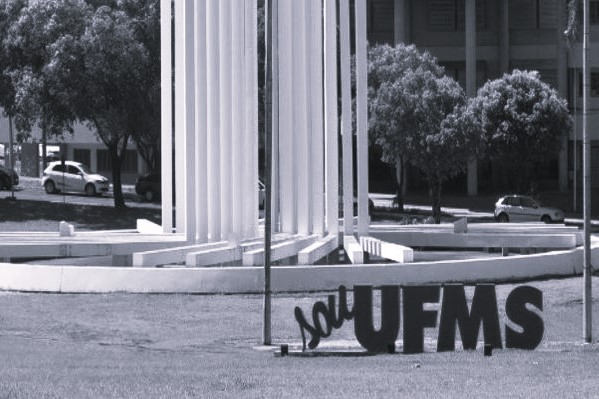 Simbolo da UFMS, o paliteiro representa a transformação social e educacional trazida pela instituição desde sua fundação 